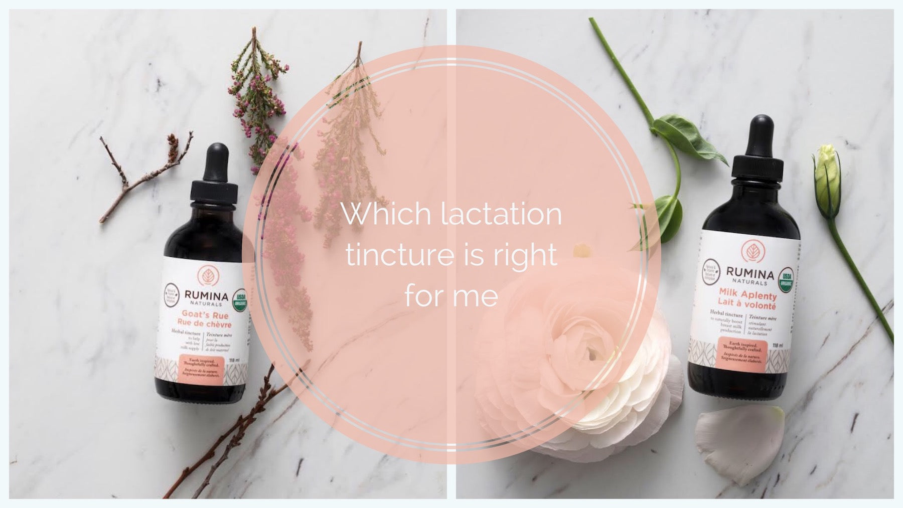 WHICH LACTATION TINCTURE IS RIGHT FOR ME?