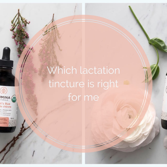 WHICH LACTATION TINCTURE IS RIGHT FOR ME?